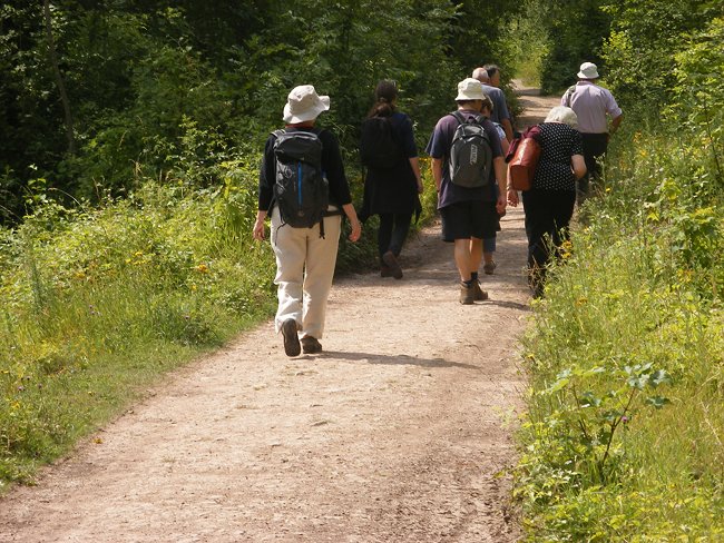 Some of the poets in search of inspiration at the July 2011 Pant Writing Day.